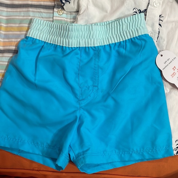 Size 2T 2 short sleeve button down, swimming trunk, sleeveless tank. - Picture 3 of 6